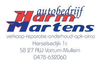 https://www.autobedrijf-harmmartens.nl/